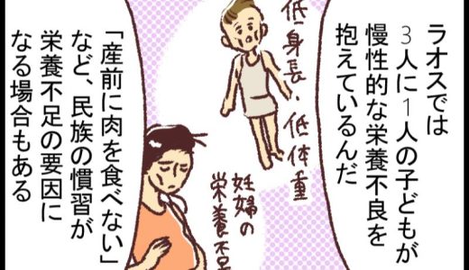 【漫画】栄養不良の二重負荷とは？ー新米国連職員のぱにゃにゃん日記 Vol.13